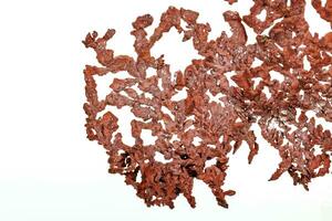 Macro copper mineral stone on white background photo