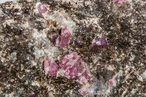 Macro of a mineral Ruby stone on a white background photo