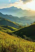 AI generated a stunning landscape during sunrise or sunset. Rolling green hills are prominently featured, bathed in soft sunlight creating a serene atmosphere. photo