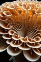 AI generated Intricate patterns and textures of the gills underneath a mushroom cap, revealing its unique structure, background image, generative AI photo