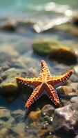 ai generado de cerca detalles de un estrella de mar en un piscina de la marea, capturar el jugar de luz de sol en sus superficie, antecedentes imagen foto