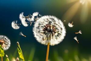 AI generated Freeze the moment when dandelion seeds are released into the air, emphasizing their delicate flight, background image, generative AI photo
