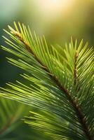 AI generated Highlight the details of pine needles, showcasing their arrangement and the texture of the tree branch, background image, generative AI photo
