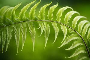 AI generated Elegance and symmetry of fern fronds as they unfurl, revealing their intricate patterns, background image, generative AI photo