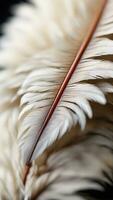 AI generated Close-up of a Feather Quill, Emphasize the fine details of a feather quill, bringing attention to its unique structure, background image, generative AI photo