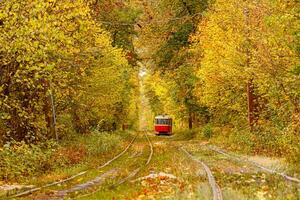 Autumn forest through which an old tram rides Ukraine photo