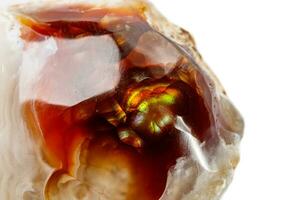 Macro mineral stone fiery Agate on a white background photo