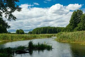 beautiful landscape lake against the blue sky photo