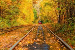 Autumn forest through which an old tram rides Ukraine photo