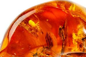 Macro Amber mineral stone with spider on white background photo