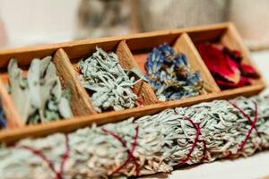 set of dried herbs delphinium, sage, wormwood, lavender, rose. Wormwood wand photo