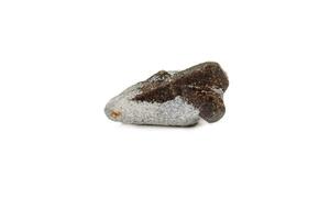 macro mineral stone Staurolite on a white background photo