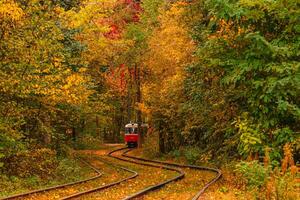 Autumn forest through which an old tram rides Ukraine photo