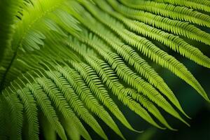 AI generated Elegance and symmetry of fern fronds as they unfurl, revealing their intricate patterns, background image, generative AI photo