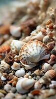 AI generated Macro shot that focuses on the symphony of textures found in different types of seashells, background image, generative AI photo