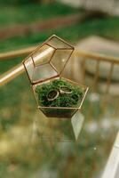 Two gold wedding rings in a beautiful elegant glass box with moss. Glass table. Wedding accessories. photo