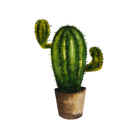 aquarelle illustration de une cactus dans une marron pot. fait maison vert fleur avec aiguilles. le illustration est tiré par main. pouvez être utilisé pour votre conception cartes, autocollants, scrapbooking, affiches, impressions png