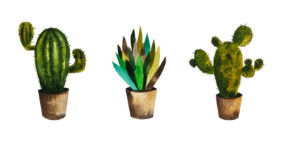 Watercolor illustration of a cactus in a brown pot. Homemade green flower with needles and leaves. The illustration is drawn by hand. Can be used for your design cards, stickers, scrapbooking, prints png