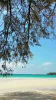 White sandy beach and luxury yacht anchored on turquoise water in Thailand. video