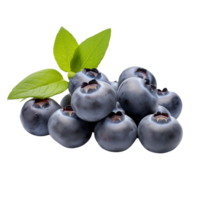 AI generated Blueberries on isolated Background png