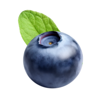 AI generated Fresh blueberries with blueberry leaves on transparent background PNG