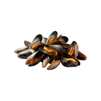 AI generated Mussels on transparent background PNG