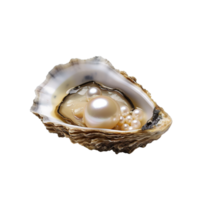AI generated Open oyster with pearl isolated on transparent background PNG