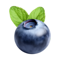 AI generated Fresh blueberries with blueberry leaves on transparent background PNG