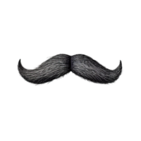 ai gerado Preto bigode em transparente fundo png