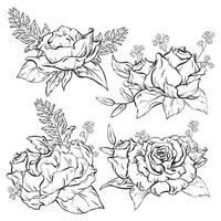 Ink. Set of refined and minimalist composition with a rose blossom and leaves. A fresh, open flower, an elegant adornment for celebrations. Hand-drawn boutonniere. Vector illustration in EPS 10