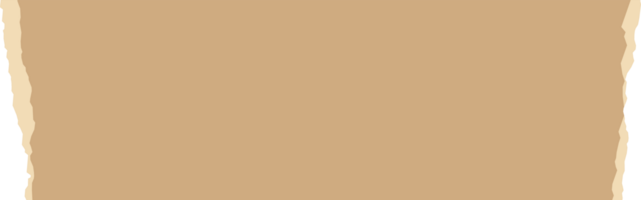 Neutral minimal patterned kraft paper decoration tape. Flat design. png