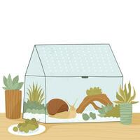 The pet snail lives in a garden created especially for it vector