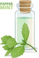 illustration of peppermint essential oil vector