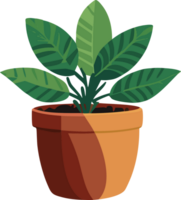 AI generated green tree plant in flowerpot png