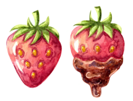 fragola con cioccolato impostare, simbolo di romanza. mano disegnato acquerello pittura su trasparente sfondo, elegante elemento per disegno, saluto carte, festa, nozze inviti. san valentino giorno png