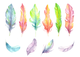 Hand painted watercolor bird feathers set, close up isolated on transparent background. Art scrapbook element, sketch, hand drawn png