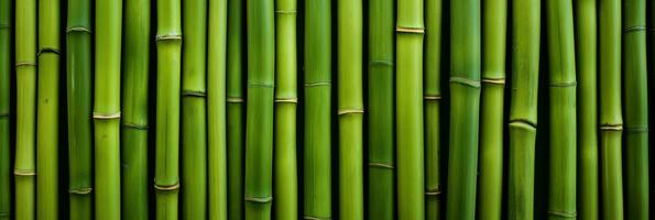 AI generated Green bamboo texture for interior or exterior design, bamboo fence texture background. photo