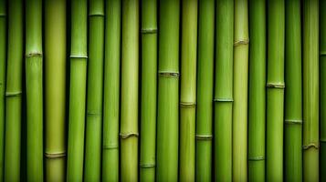 AI generated Green bamboo texture for interior or exterior design, bamboo fence texture background. photo