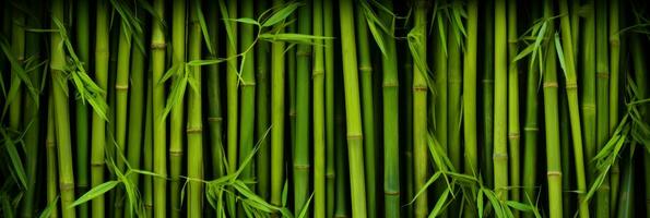 AI generated Green bamboo texture for interior or exterior design, bamboo fence texture background. photo