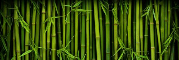 AI generated Green bamboo texture for interior or exterior design, bamboo fence texture background. photo