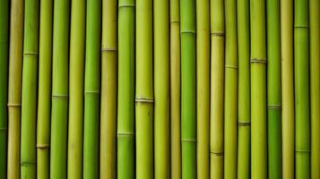 AI generated Green bamboo texture for interior or exterior design, bamboo fence texture background. photo