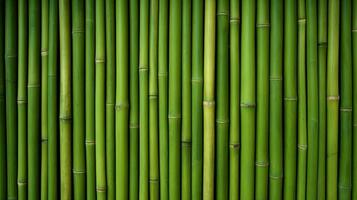 AI generated Green bamboo texture for interior or exterior design, bamboo fence texture background. photo