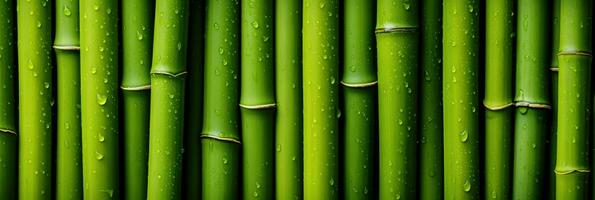 AI generated Green bamboo texture for interior or exterior design, bamboo fence texture background. photo