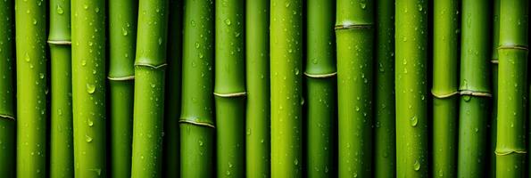 AI generated Green bamboo texture for interior or exterior design, bamboo fence texture background. photo