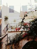 Quaint urban balcony with blooming flowers and plants, showcasing serene city living. photo