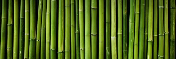 AI generated Green bamboo texture for interior or exterior design, bamboo fence texture background. photo