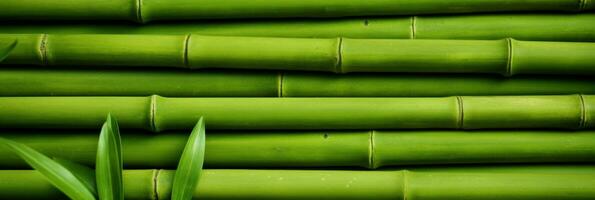 ai generado verde bambú textura para interior o exterior diseño, bambú cerca textura antecedentes. foto