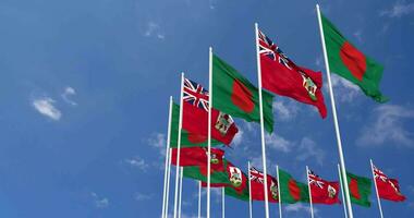 Bermuda and Bangladesh Flags Waving Together in the Sky, Seamless Loop in Wind, Space on Left Side for Design or Information, 3D Rendering video