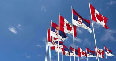 Serbia and Canada Flags Waving Together in the Sky, Seamless Loop in Wind, Space on Left Side for Design or Information, 3D Rendering video