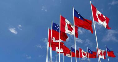 Samoa and Canada Flags Waving Together in the Sky, Seamless Loop in Wind, Space on Left Side for Design or Information, 3D Rendering video